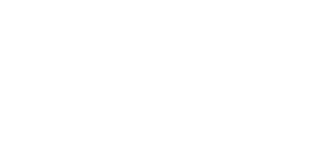 Dermal Dynamics Logo